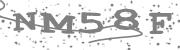 Type the letters in the image or Type the first letter of the words spoken in the audio.