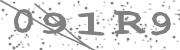Type the letters in the image or Type the first letter of the words spoken in the audio.