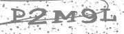 Type the letters in the image or Type the first letter of the words spoken in the audio.