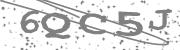 Type the letters in the image or Type the first letter of the words spoken in the audio.