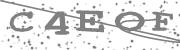 Type the letters in the image or Type the first letter of the words spoken in the audio.