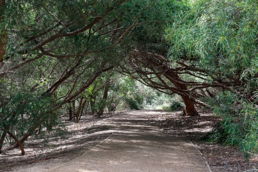 Frankston Nature Trail