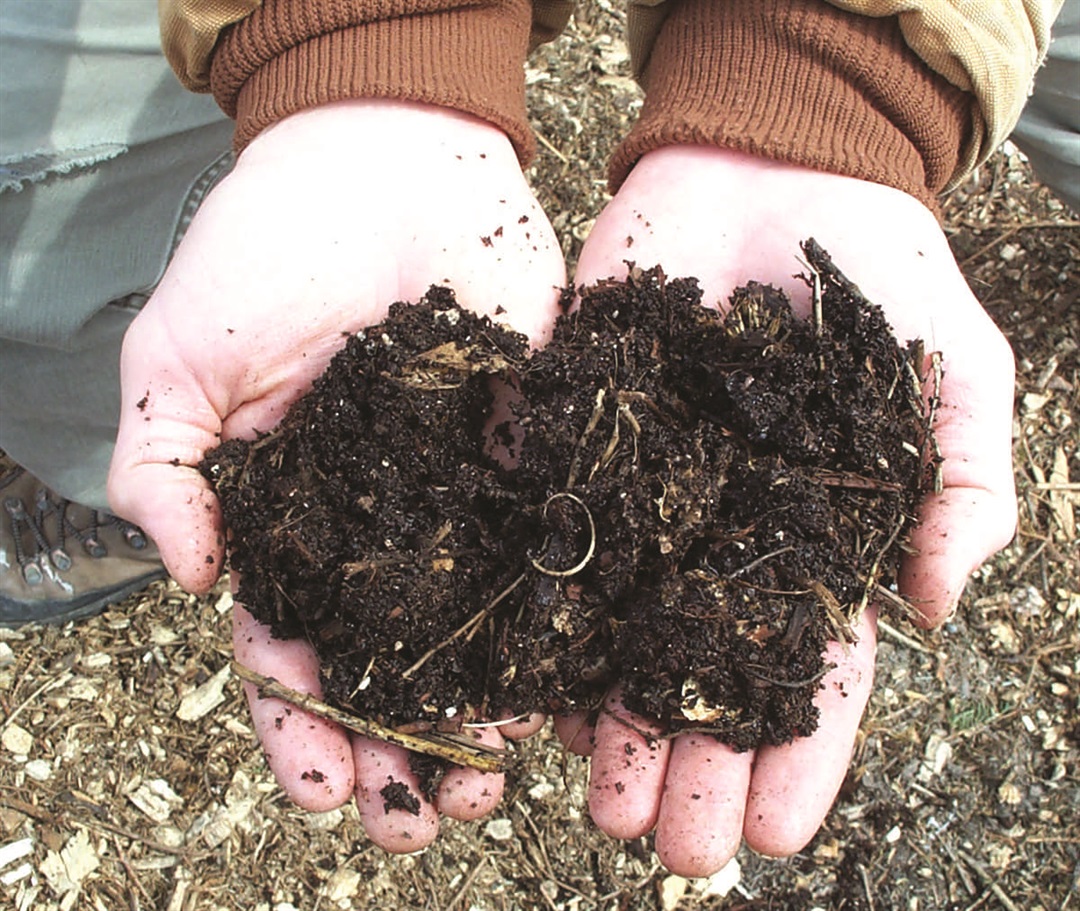 Composting, worm farms and Bokashi buckets Frankston City Council