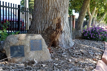 Garden memorial