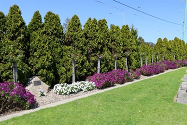 Flower gardens in Frankston Memorial Park