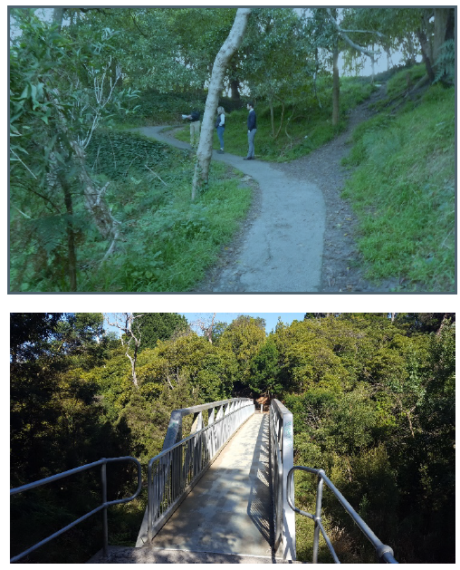 overport-park-bridge