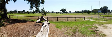 A large reserve with playing fields and walking tracks