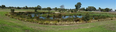 The reserve has dog free roam area
