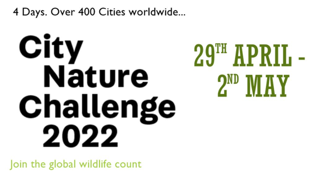 City Nature Challenge 2022.png