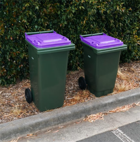 purple bin