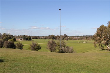 Soccer Ovals