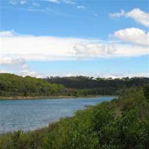 Frankston Nature Conservation Reserve