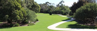 Walking Path