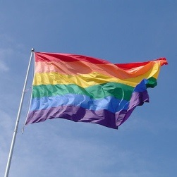 Peninsula Pride Flag