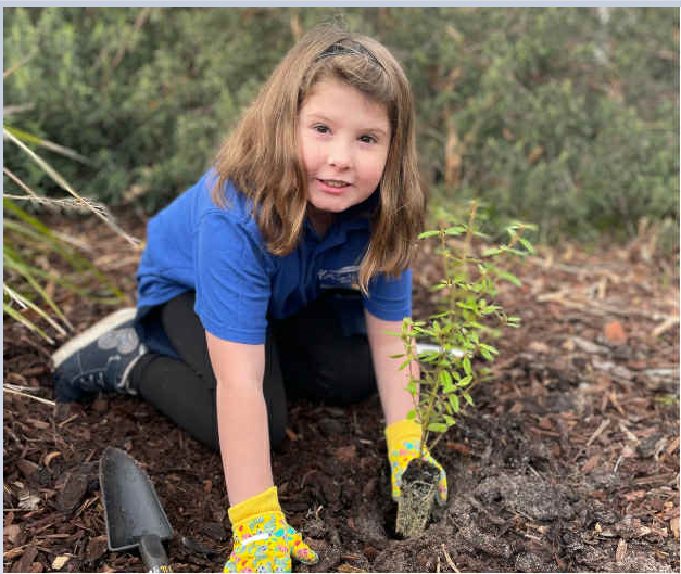 Schools-Tree-Day-Photo-2025