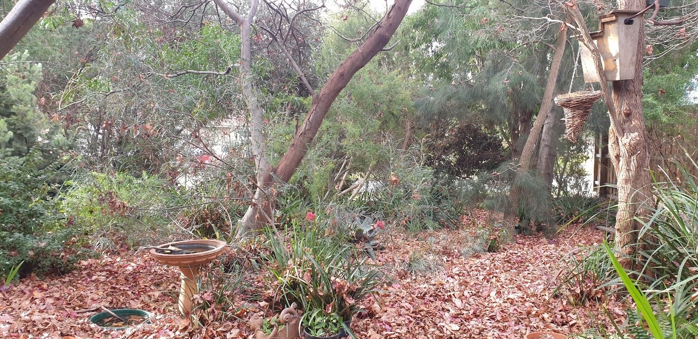 GforW-Garden.jpg