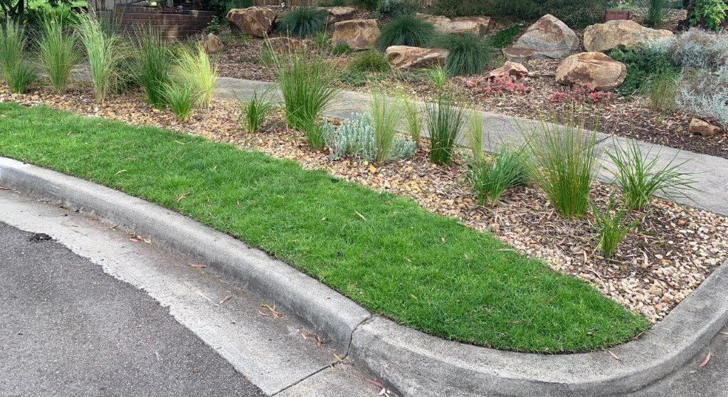 GforW-Nature-Strip.png