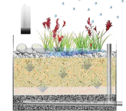 Raingarden_plan_side_view.jpg