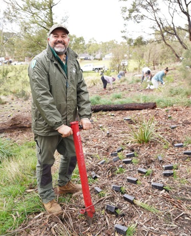 Tree Planting Program in action