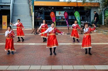 Cultural Diversity and Harmony Week 1