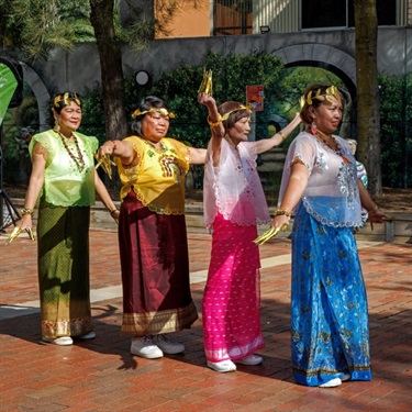 Cultural Diversity and Harmony Week 4
