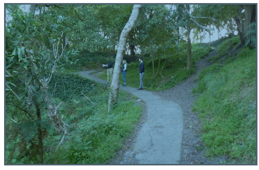 overport-park-bridge.png
