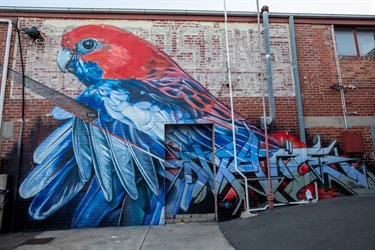 Street-Art-Festival-Steve-Brown.jpg