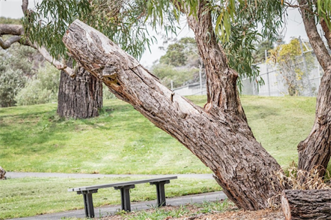 BioDiversity Week Walk (Small).png