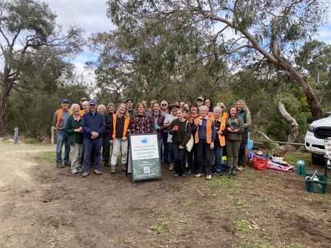 Bush Regeneration (Medium).jpeg