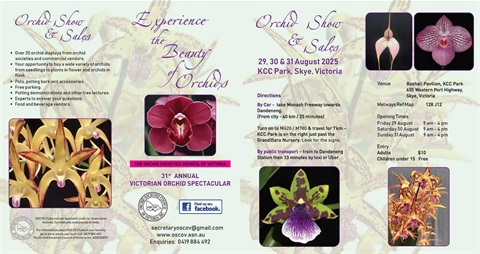 OSCOV Flyer_Landscape 2025.jpg