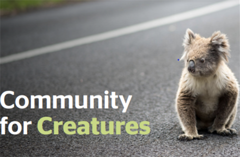 community-for-creatures