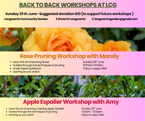 Rose Pruning workshop (Medium).png