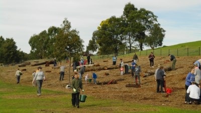 tree-planting-lloyd-park-2025
