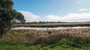 Seaford Wetlands 3
