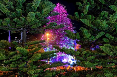 Christmas tree lit up with Christmas lights