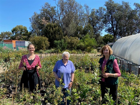 Indigenous Nursery