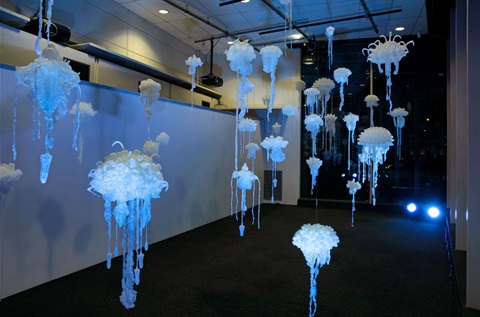 Penelope Davis’s artworks reflect and highlight an appreciation for the natural world