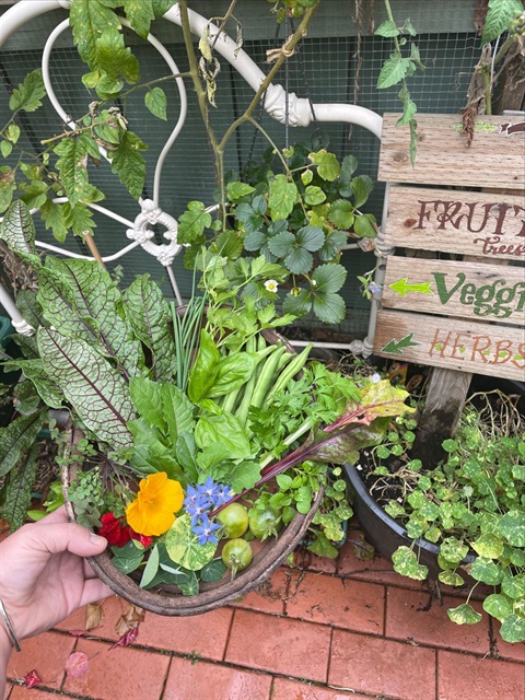 Low-waste-food-gardening-1.jpg