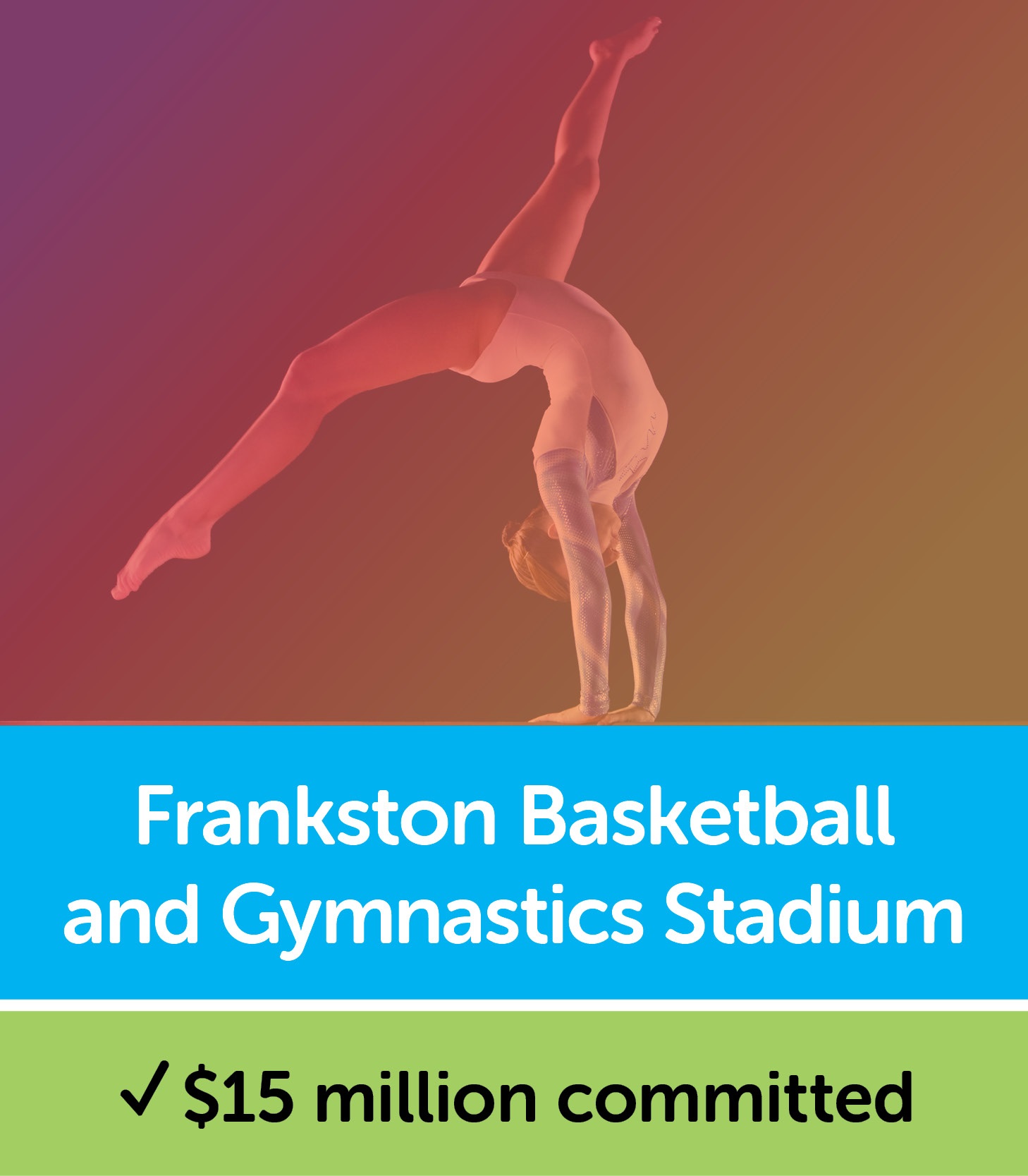 Election Commitment Tiles_Basketball and Gymnastics.jpg