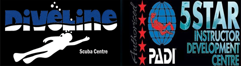 Logo-w-5-star2